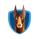 Cerber Tech logo