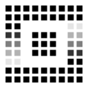 Citadel AI logo