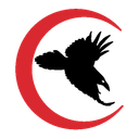 Corvus Technologies LLC logo