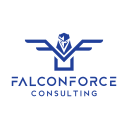 Falconforce Consulting logo