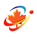 IT Rapid Support logo