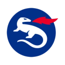 Nexus Group logo