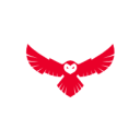 Owl Cyber Defense logo