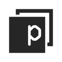Panaseer logo