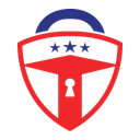 Professional IT Solutions logo