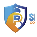 PRSecurity Services logo