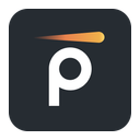 Pynt logo