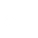 Stern Security logo