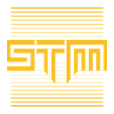 STM Cyber logo